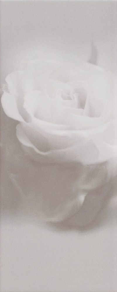 Плитка облицовочная Romance 1 Rose 200x500 /17