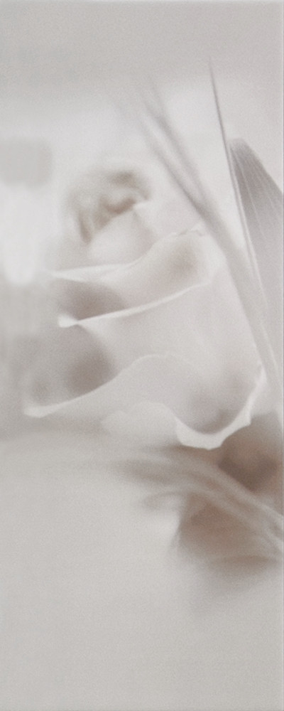 Плитка облицовочная Romance 2 Rose 200x500 /17