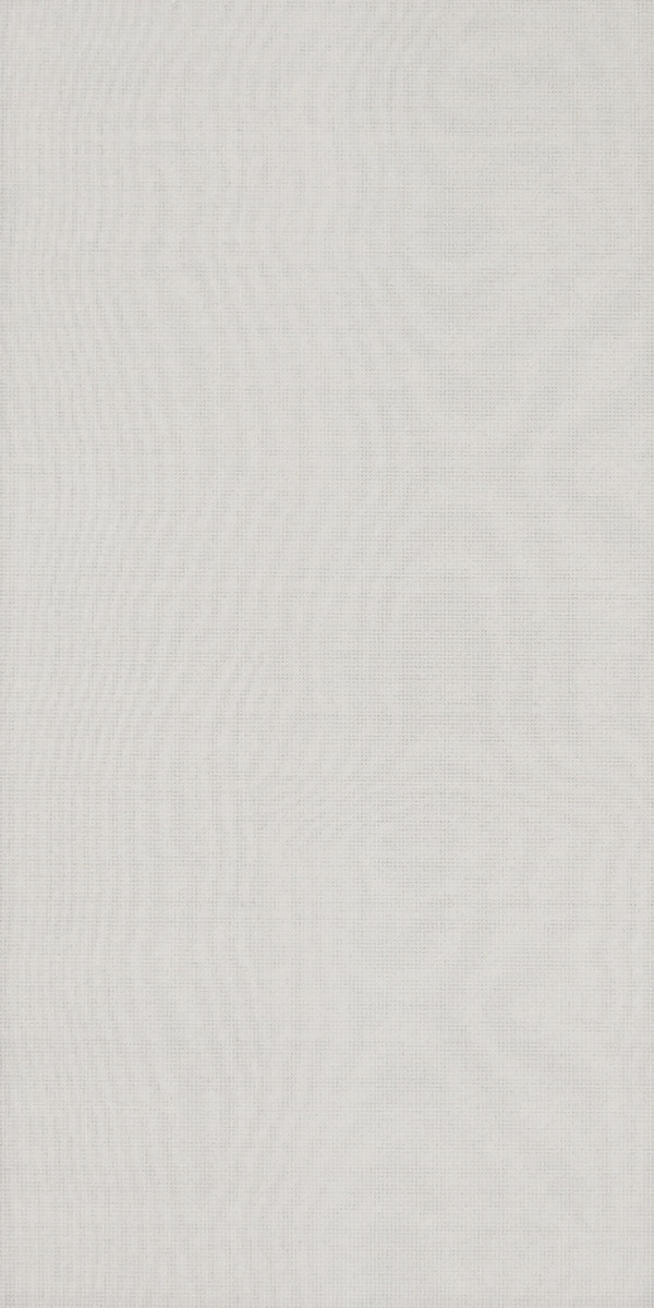 Плитка облицовочная Silk W 250x500 /16