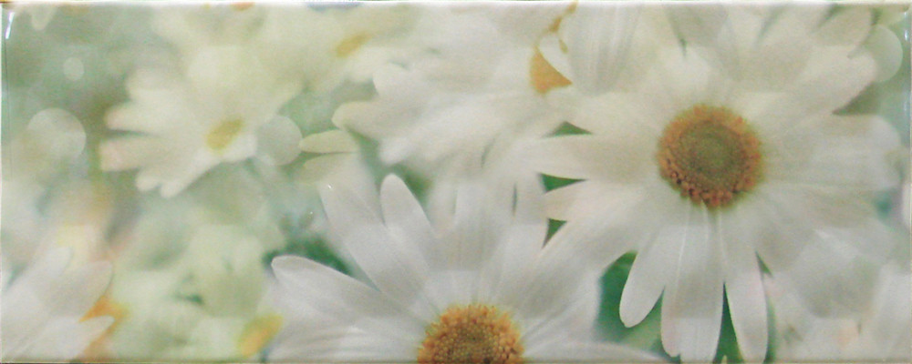 Плитка облицовочная Sote 1 Chamomile 200x500 /17