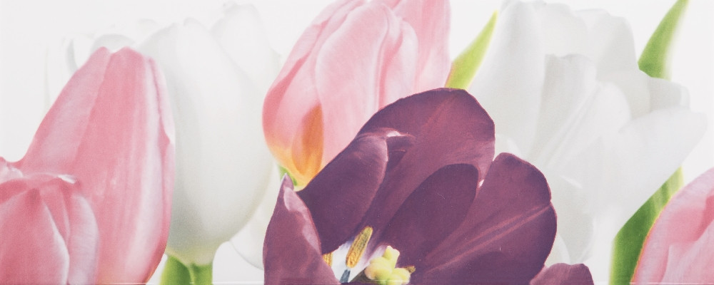 Плитка облицовочная Tulip 1 PN 200x500 /17