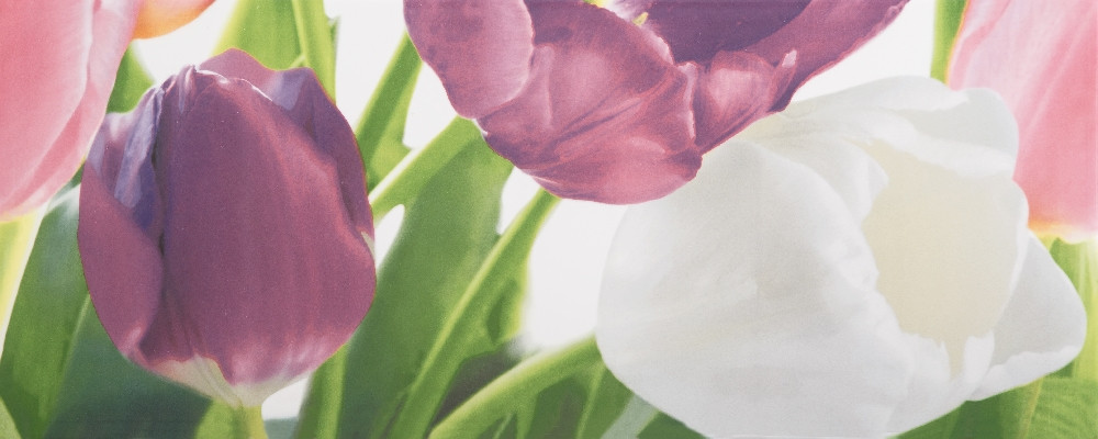 Плитка облицовочная Tulip 2 PN 200x500 /17