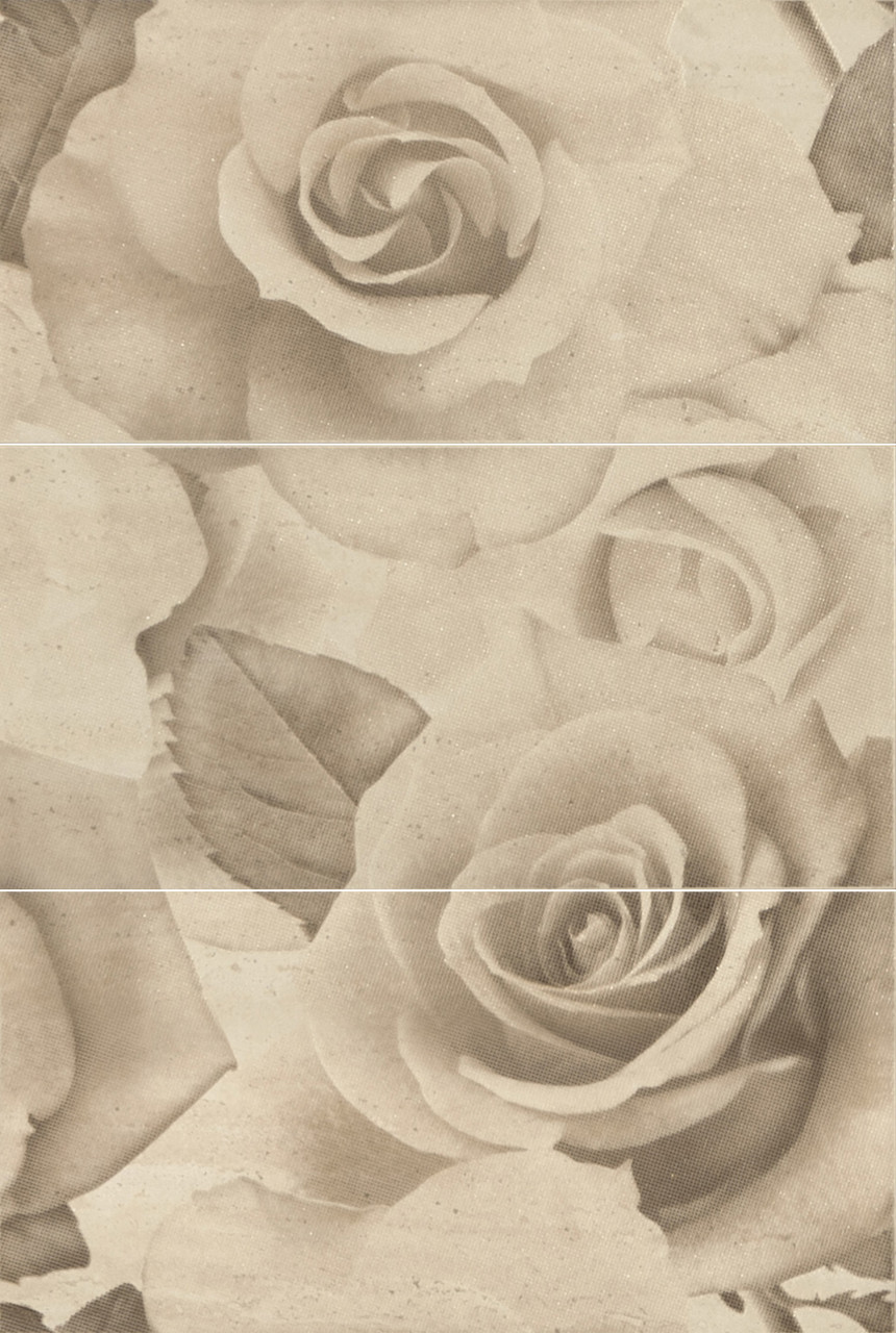 Декор-панно Travertine Roses BC 885x595 D6/LG