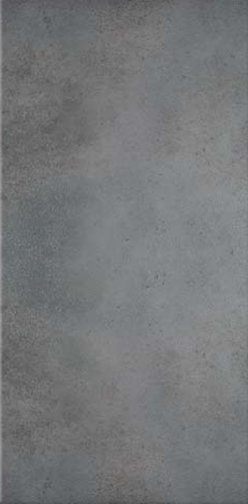 Плитка для пола ГРЕС лаппатированный LK Fuji GR 295x595 /6 P