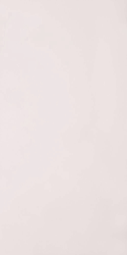 Плитка для пола ГРЕС полированный PK 0000 600x1200 /9.5