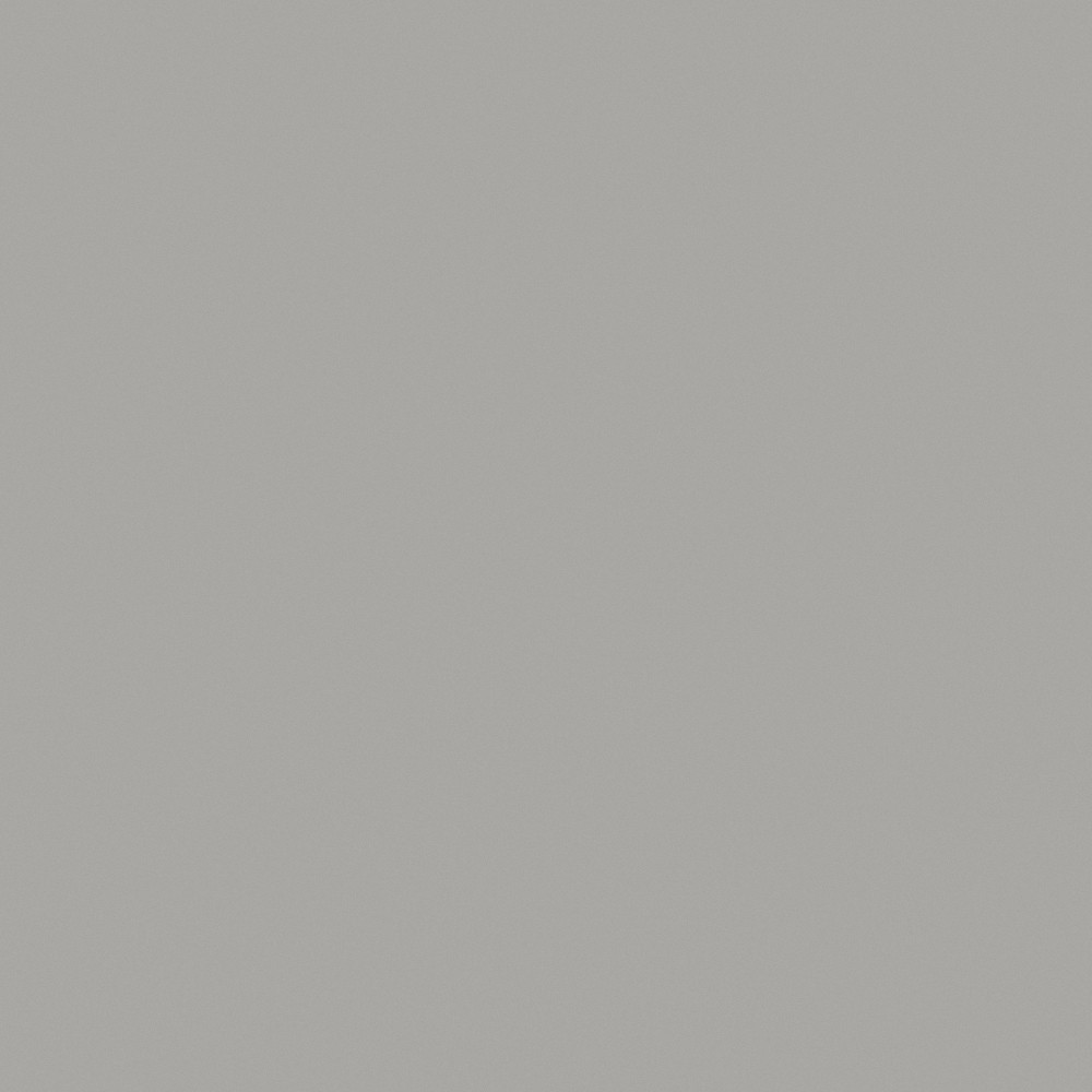 Плитка для пола ГРЕС полированный PK MN 006 600x600 /4 P
