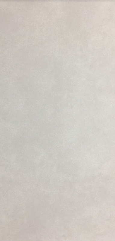 Плитка для пола ректифицированная CB Fuji W 295x595 /6 P