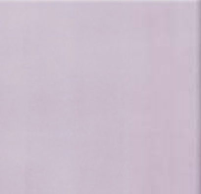 Плитка для пола глазурованная Evita VC 400x400 /9