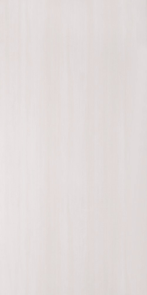 Плитка для пола ректифицированная Imola W 600x1200 /14 P