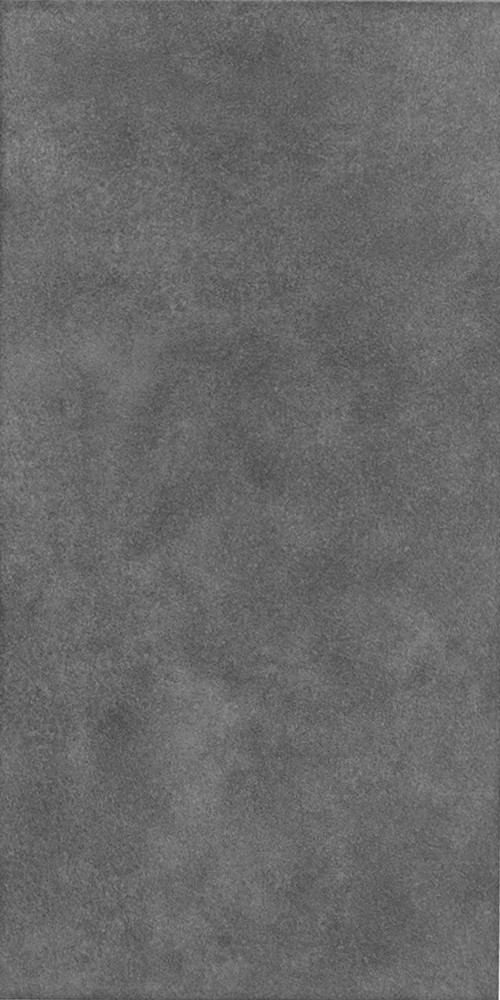 Плитка для пола ректифицированная S Fuji GR 295x595 /6 P