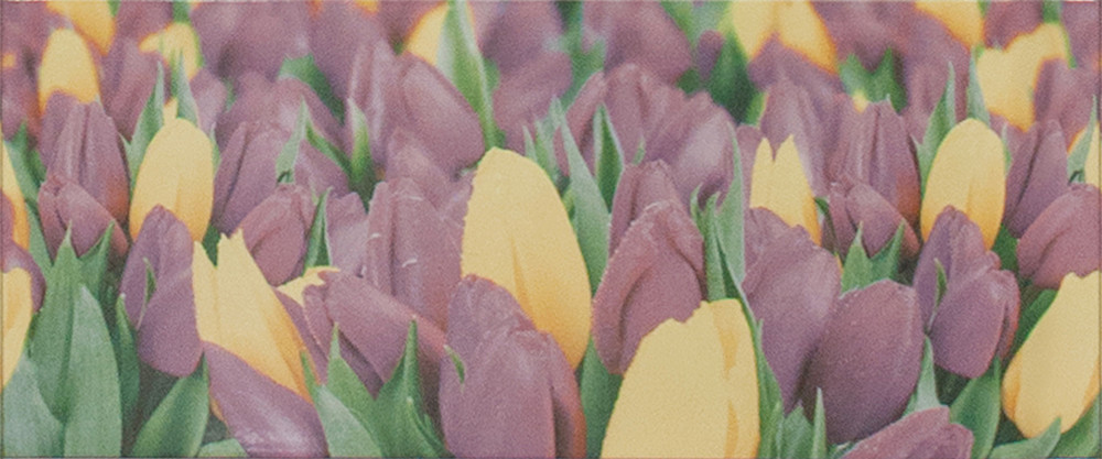 Плитка облицовочная Alana 1 Tulip VC 250x600 /10
