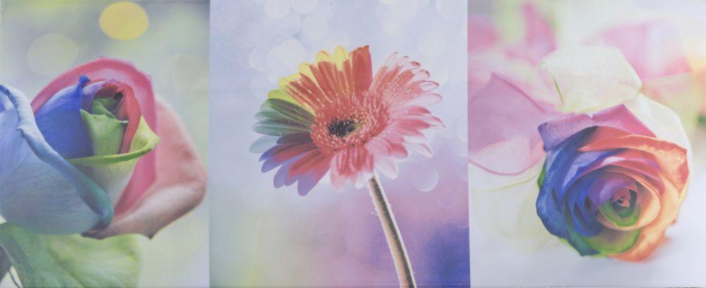 Плитка облицовочная Alana Flowers 250x600 /10