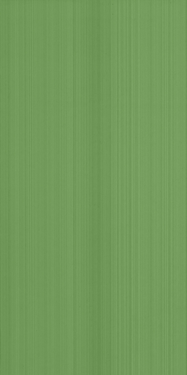 Плитка облицовочная Charlotte GN 250x500 /16