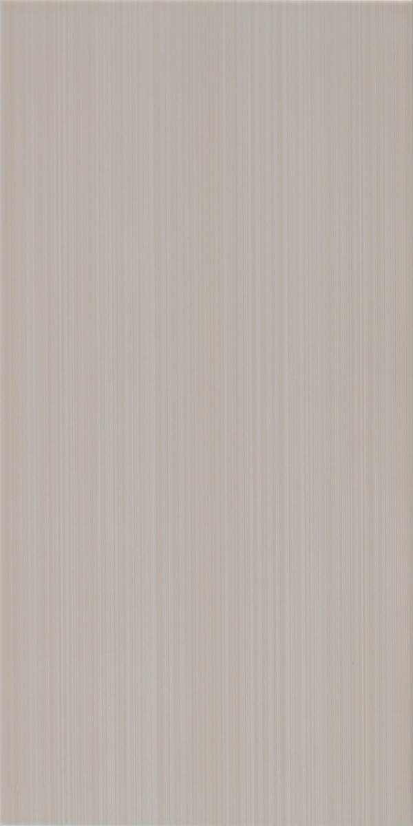 Плитка облицовочная Charlotte MCM 250x500 /16