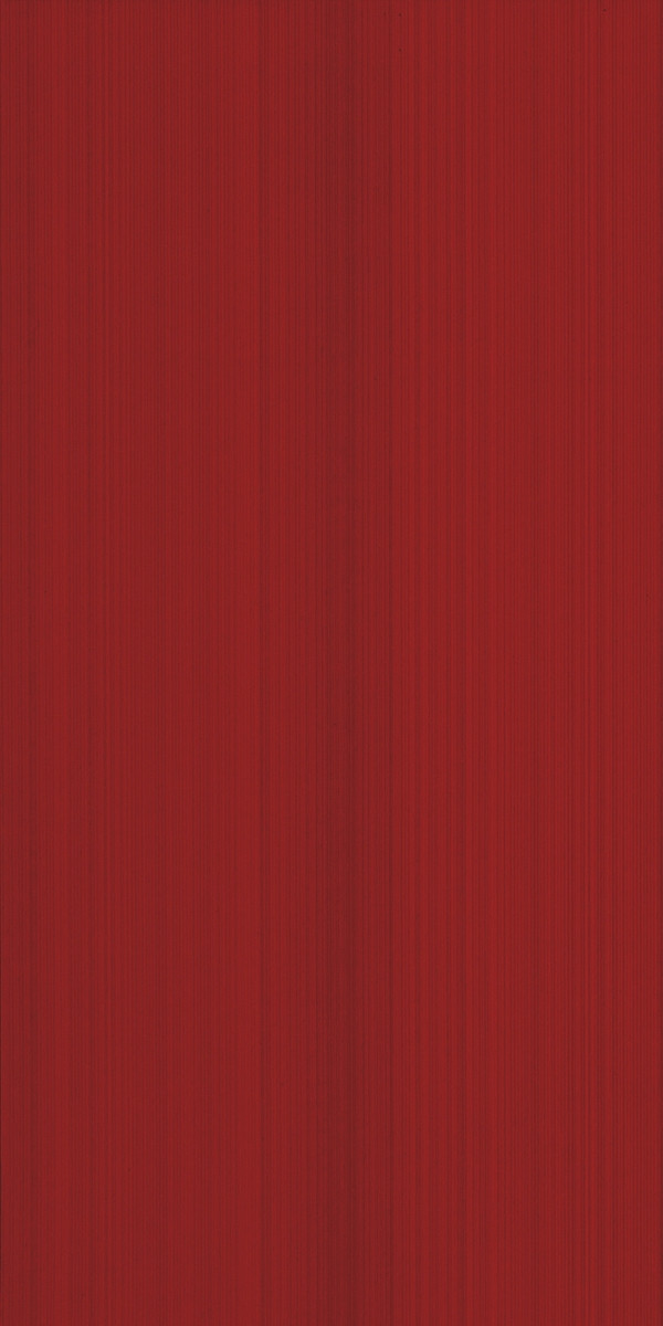 Плитка облицовочная Charlotte R 250x500 /16