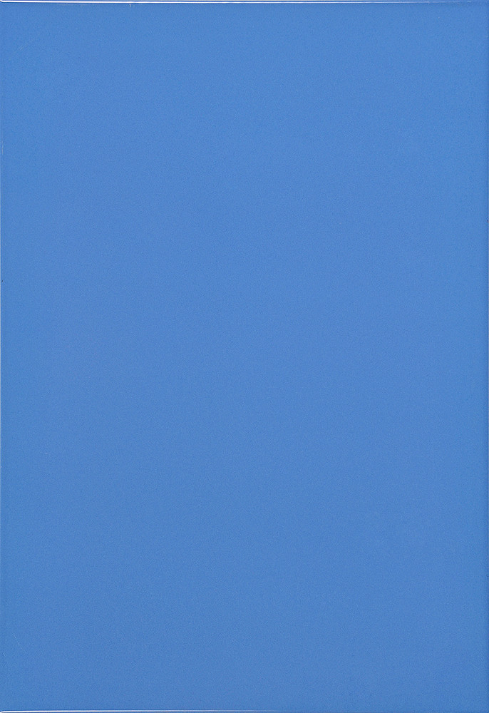 Плитка облицовочная Mono BL 275x400