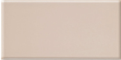 Плитка облицовочная Mono BM 250x750