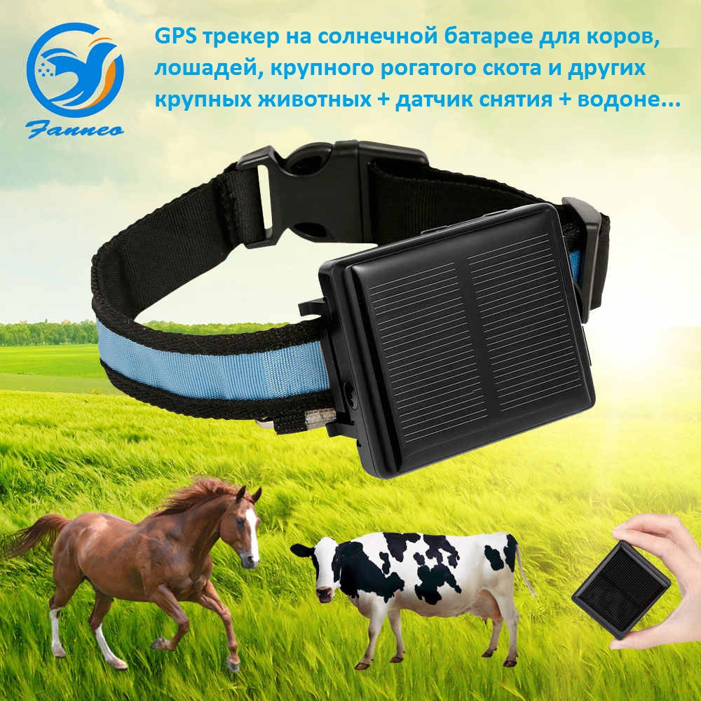 GPS трекер на солнечной батарее для коров, лошадей, крупного рогатого скота и других, модель RF-V26 - фото 1 - id-p92124605