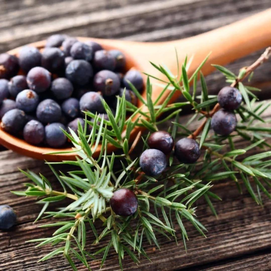 Можжевельник плоды, 50гр, фото 1