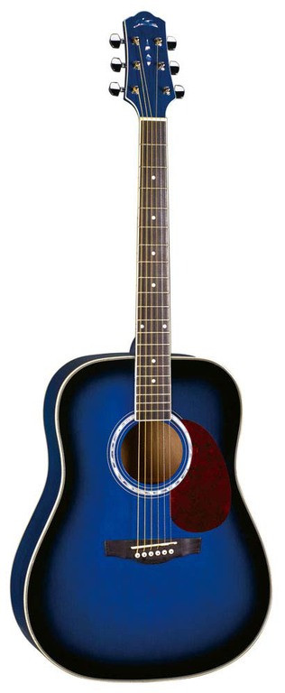 Акустическая гитара Naranda DG220BLS - фото 1 - id-p92221174