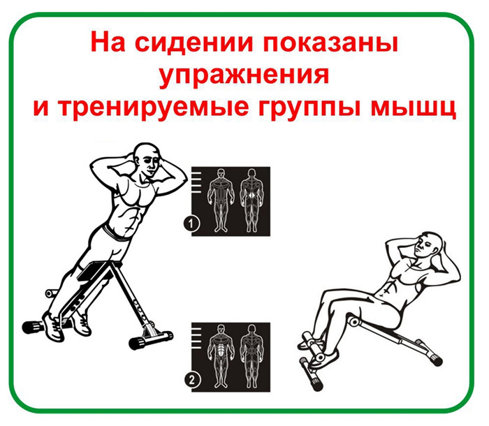 Скамья для пресса и мышц спины 140 кг Россия - фото 6 - id-p91511721