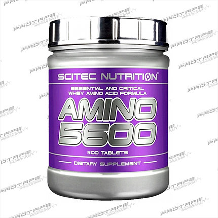 Комплекс аминокислот Scitec Nutrition Amino 5600 500 таб., фото 2