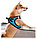 Нательный ошейник для собак Xiaomi Jordan Judy PE073 (размеры M и S), фото 2