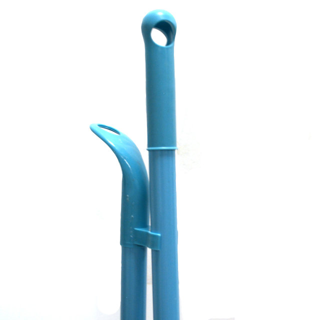 Ганиннің порнографиялық қойылымы