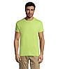Футболка Sols Regent XXL, светло-зеленая, фото 7