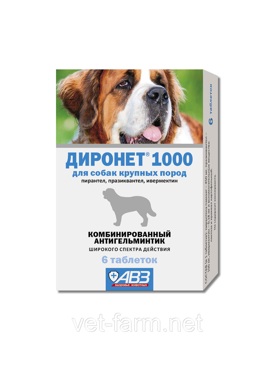 Диронет 1000