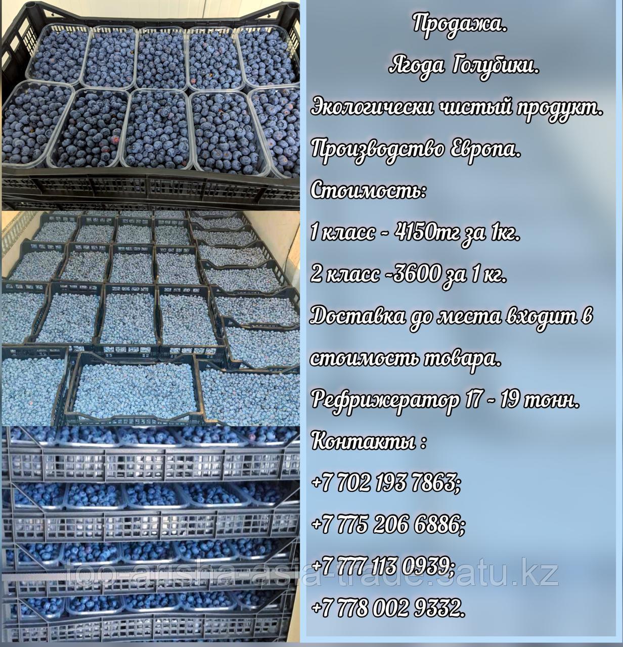 Свежая ягода голубика Сербия