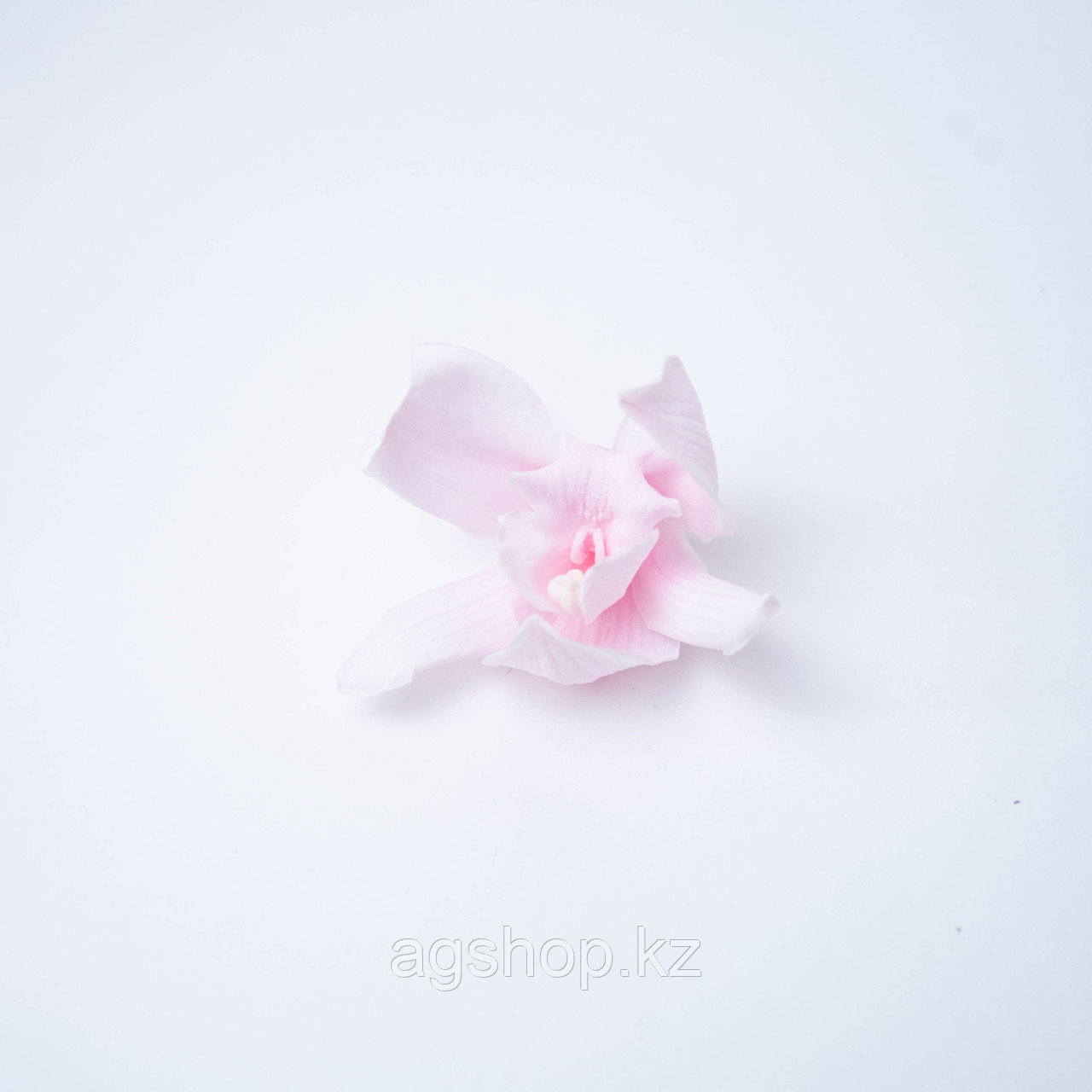 Орхидея Цимбидиум (розовый)