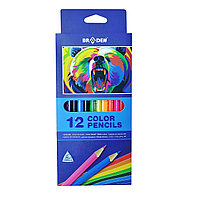 Цветные карандаши BRADEN, 12 цветов