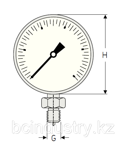 1077587/2  Манометр SKF