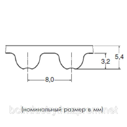 8MHP 800 20 ремень Optibelt Omega HP