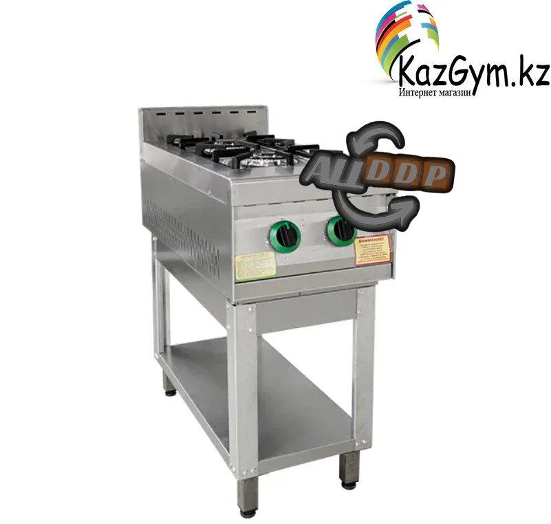 Плита газовая 2-х конфорочная без жар. шкафа ПГ-2-01(415х850х860х(960) мм)