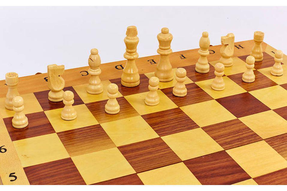 Шахматы 3в 1 (390мм х 195 мм)