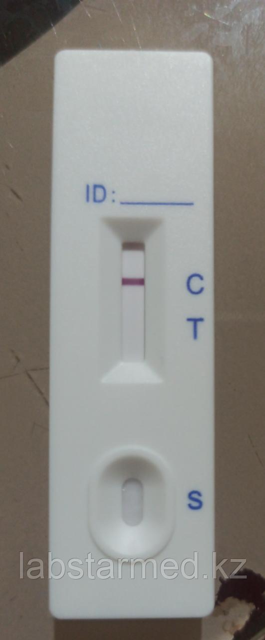 ПОШТУЧНО Экспресс-тест на антиген к SARS CoV 2 (цена без учета доставки!) - фото 5 - id-p92632087