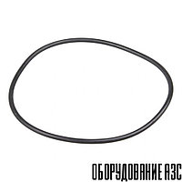 Уплотнительное кольцо Viscomat DC PIUSI R09963000