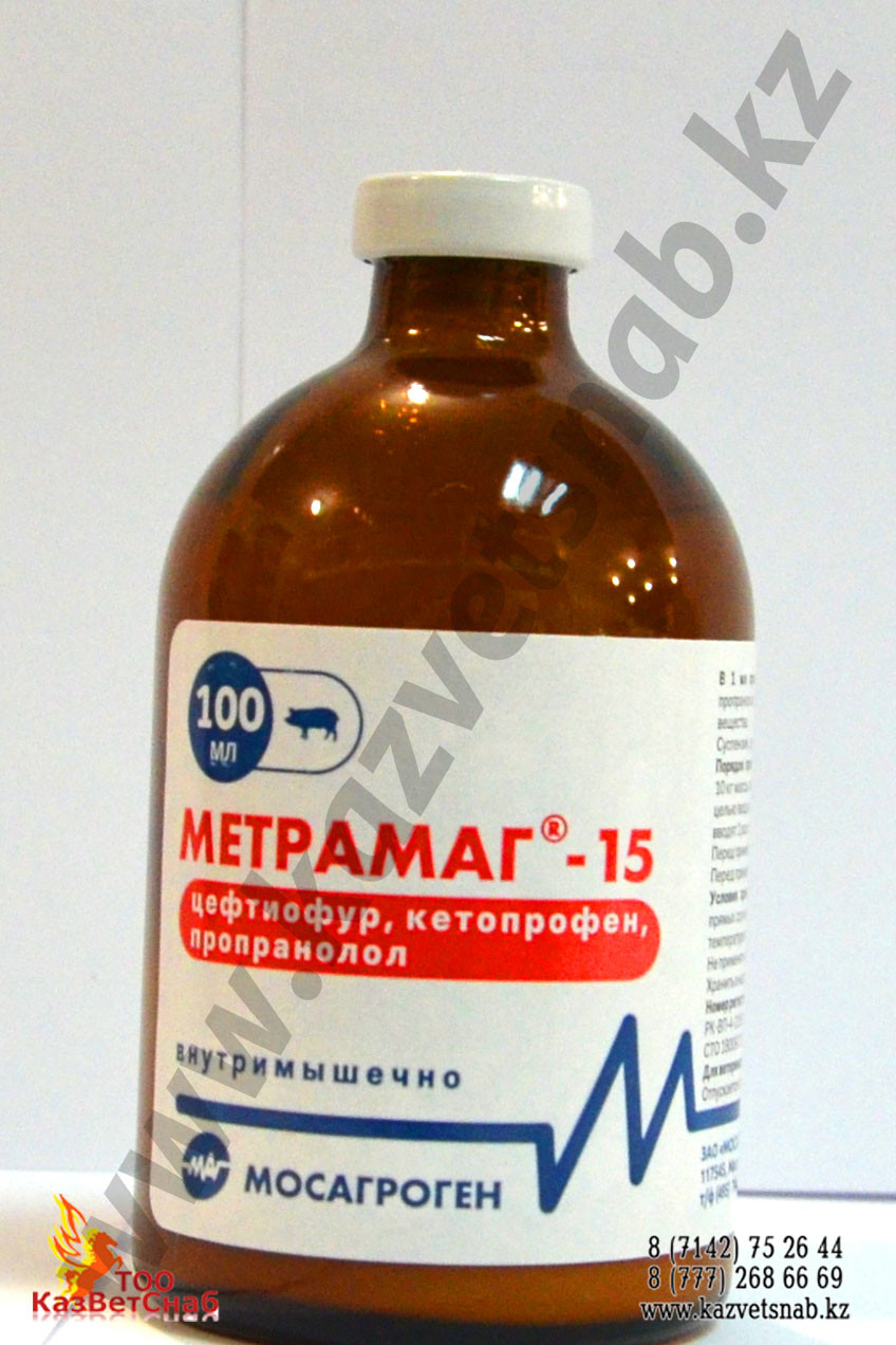 Метрамаг-15 инъекцияға арналған суспензия - фото 1 - id-p92679799