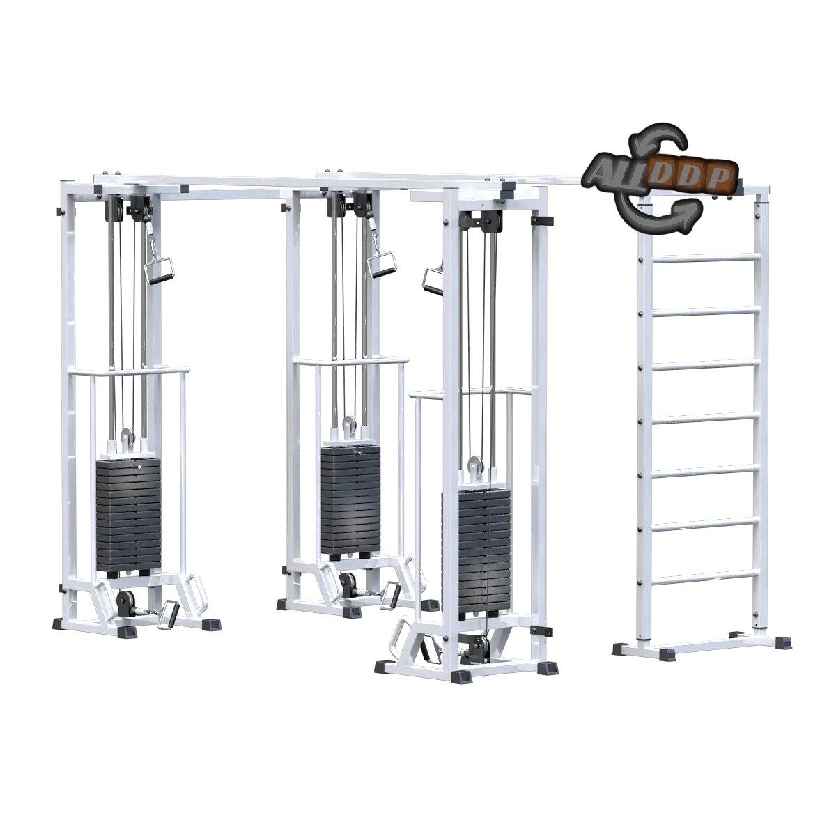 Биотонус-3 + шведская стенка (стек 3х75 кг) (AR087.3х2200 )