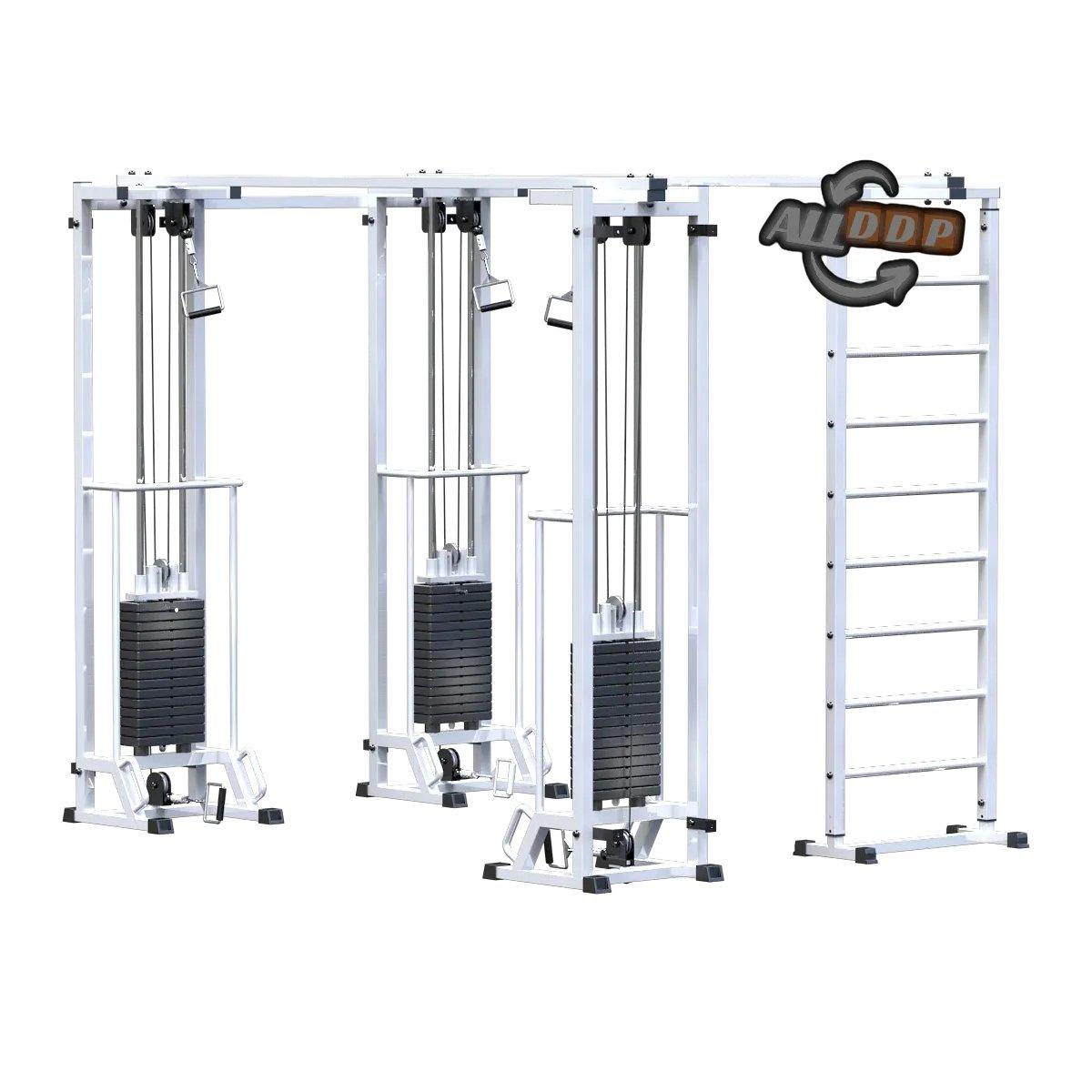 Биотонус-3 + шведская стенка (стек 3х75 кг) (AR087.3х2400 )