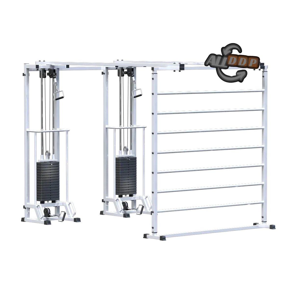 Биотонус-2 + шведская стенка (стек 3х75 кг) (AR088.2х2200)