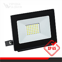 LED ПРОЖЕКТОР СДО 06-10  30W 2400Lm 6500K IP65