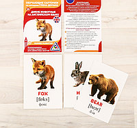 Обучающие карточки по методике Г. Домана «Дикие животные на английском языке», фото 1