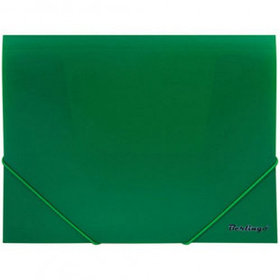 Папка Berlingo "Standard", А4 формат, на резинке, зеленая