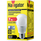 Лампа светодиодная Navigator NLL-A, 7 Вт, 6500К, холодный белый свет, E27, форма груша, фото 2