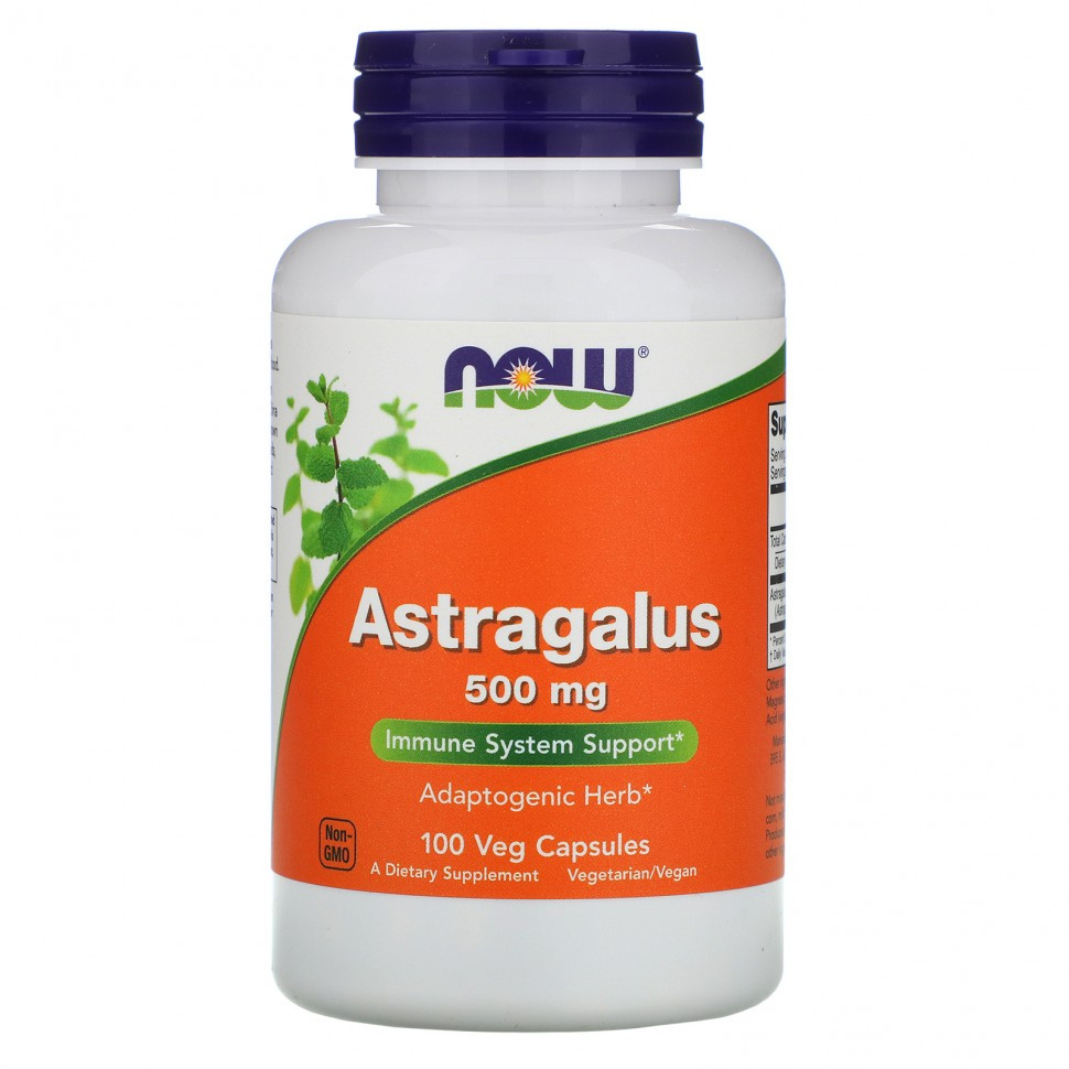 Специальные Добавки  Astragalus Extract 500 mg, 90 caps.