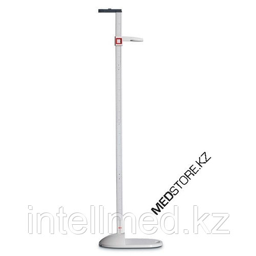 Жігіттердің ортасында жалаңаш қыз