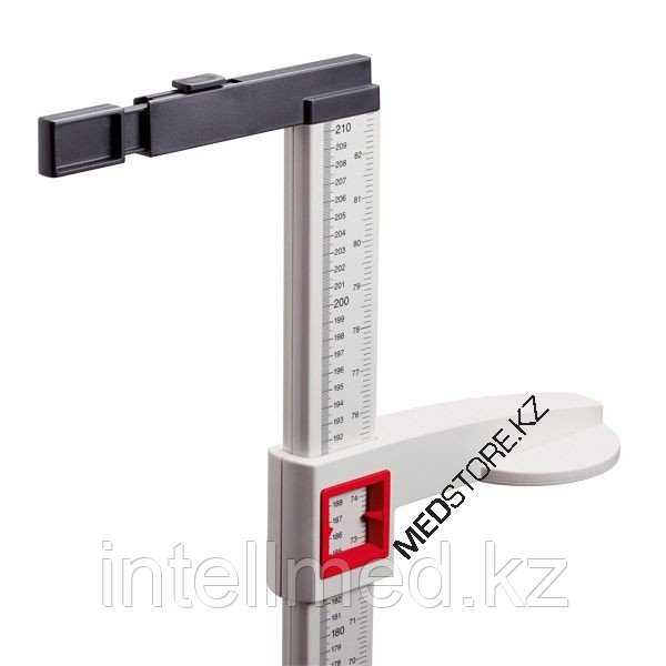 Жалаңаш биатлон әйел